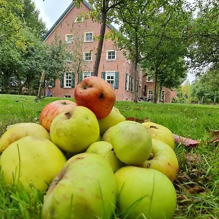 Apartmán Gulfhof Boomgaarden 1 Mettje *