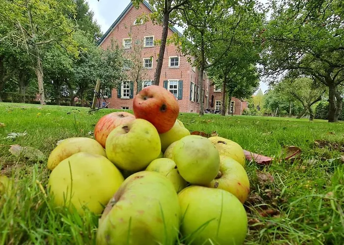 Lejlighed Gulfhof Boomgaarden Boomgaarden 1 Mettje *
